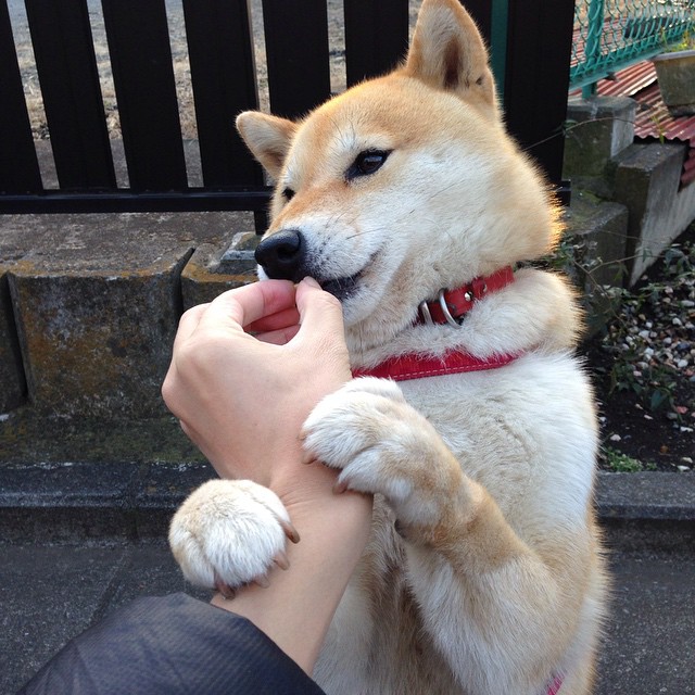 雷火电竞官网-破壁，从伯纳乌到马拉喀什，非洲新势力的双重奏